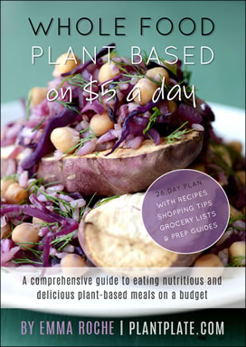 New eBook - Whole Food Plant Based on $5 a Day